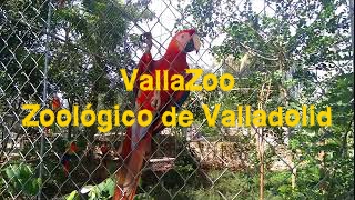 Visita el Zoológico VallaZoo