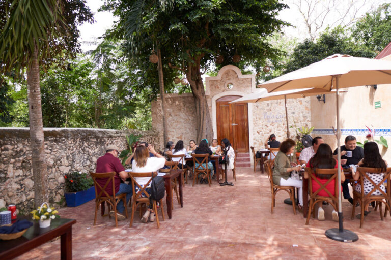 terraza paladar de cura 768x512