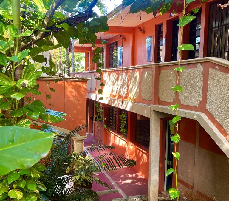 317515866 509396461215739 7537430266224301153 n 768x674