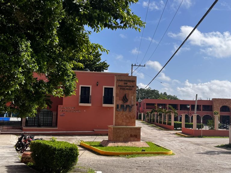 320978591 3350827118471393 2754484356418497513 n 768x576